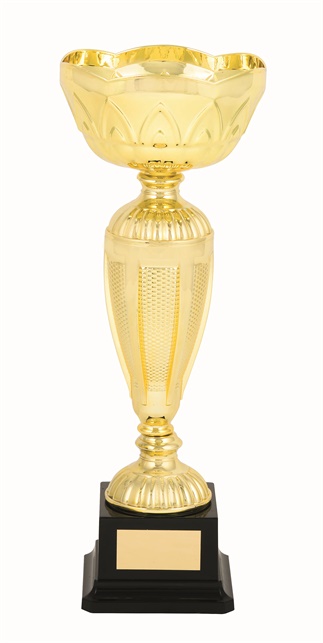 tgc097a_discount-trophy-cups.jpg