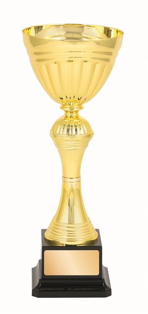 tgc098a_discount-trophy-cups.jpg