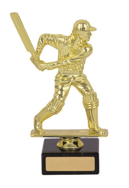 tgs935_discount-cricket-trophies.jpg