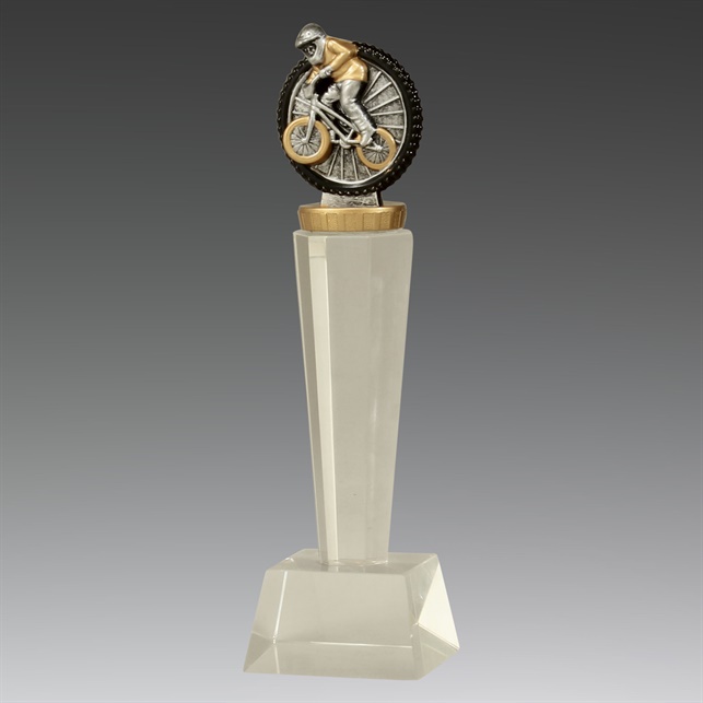 x7313_discount-bmx-trophies.jpg