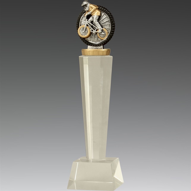 x7313_discount-bmx-trophies.jpg