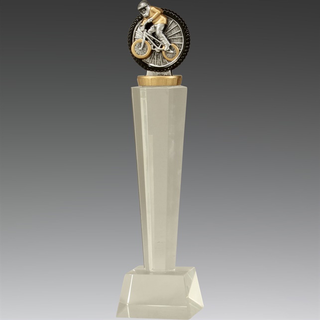 x7313_discount-bmx-trophies.jpg