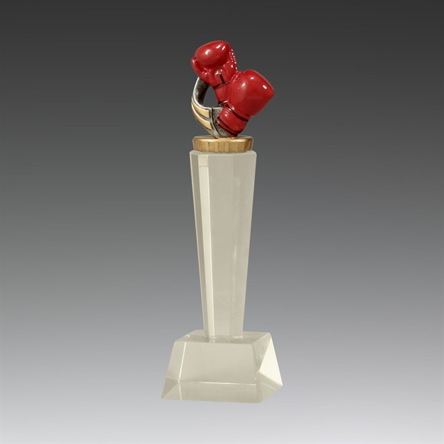 x7301_discount-boxing-trophies.jpg