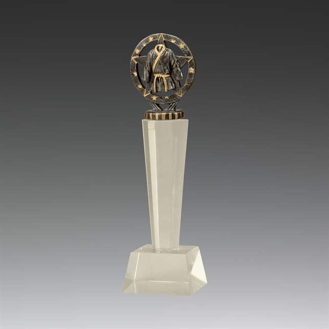 uc44a_discount-martialarts-trophies.jpg