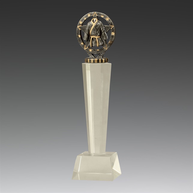uc44a_discount-martialarts-trophies.jpg
