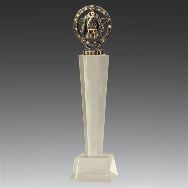 uc44a_discount-martialarts-trophies.jpg