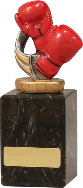 um32a_discount-boxing-trophies.jpg