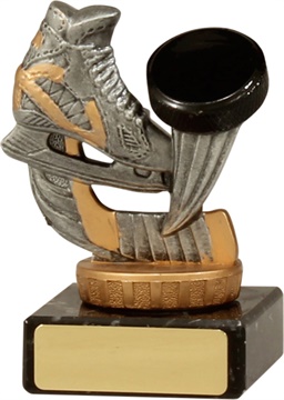 um50a_discount-icehockey-trophies.jpg