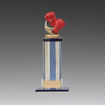 ut32a_discount-boxing-trophies.jpg