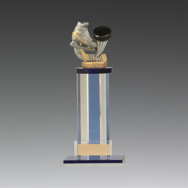 ut50a_discount-icehockey-trophies.jpg