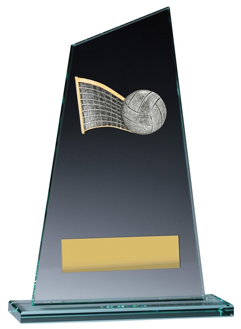 vp127_discount-volleyball-trophies.jpg