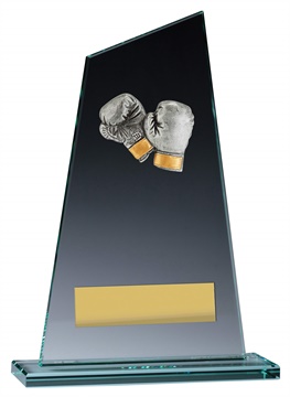 vp132_discount-boxing-trophies.jpg