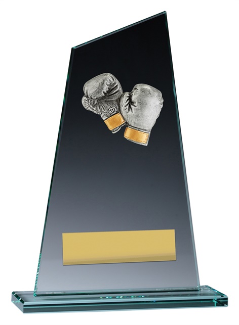 vp132_discount-boxing-trophies.jpg