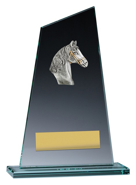 vp135_discount-horse-trophies.jpg