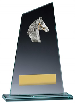 vp135_discount-horse-trophies.jpg