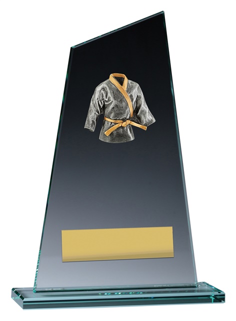 vp145_discount-martial-arts-trophies.jpg