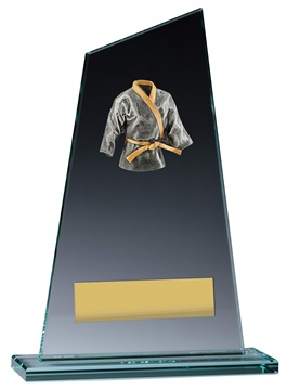 vp145_discount-martial-arts-trophies.jpg