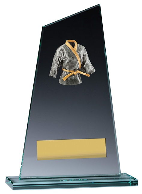 vp145_discount-martial-arts-trophies.jpg