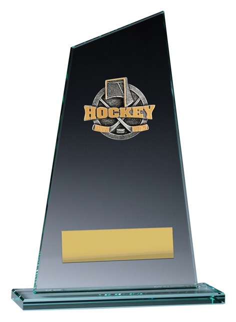 vp150_discount-hockey-trophies.jpg