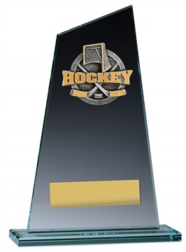 vp150_discount-hockey-trophies.jpg