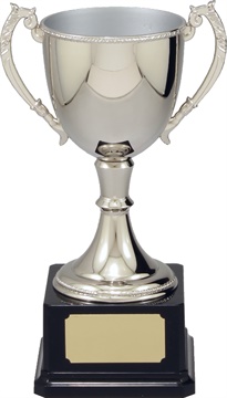 vt10-2_quality-metal-trophy-cups.jpg