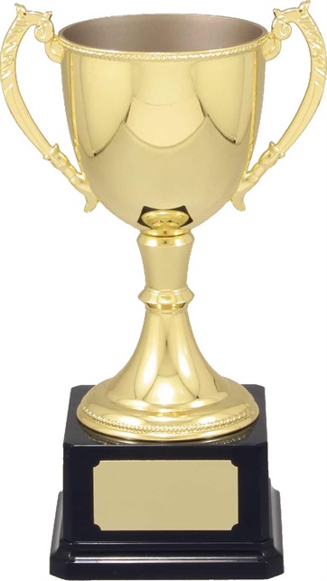 vt10_quality-metal-trophy-cups.jpg