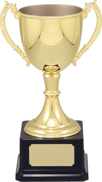 vt10_quality-metal-trophy-cups.jpg