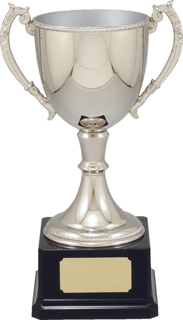 vt11-2_quality-metal-trophy-cups.jpg