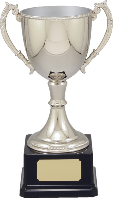 vt11-2_quality-metal-trophy-cups.jpg
