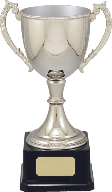 vt11-2_quality-metal-trophy-cups.jpg