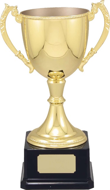 vt11_quality-metal-trophy-cups.jpg