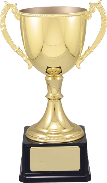vt11_quality-metal-trophy-cups.jpg
