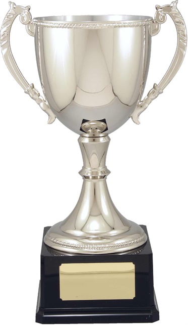 vt11-2_quality-metal-trophy-cups.jpg