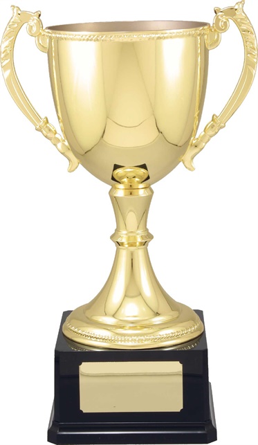 vt11_quality-metal-trophy-cups.jpg