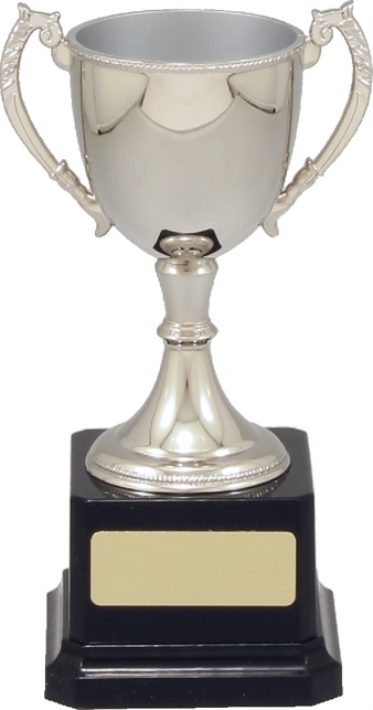vt10-2_quality-metal-trophy-cups.jpg