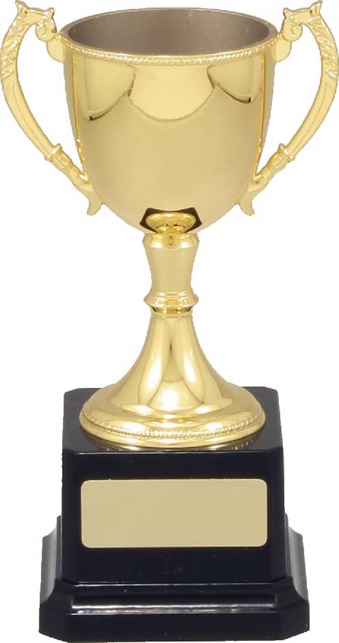 vt10_quality-metal-trophy-cups.jpg