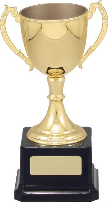 vt10_quality-metal-trophy-cups.jpg