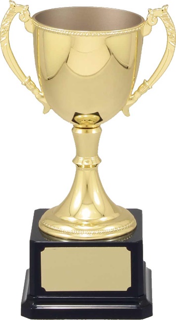 vt10_quality-metal-trophy-cups.jpg