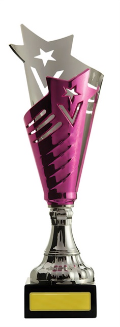 w14-6204_1-discounted-trophy-cups-plastic----1.jpg