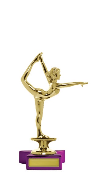 w143404_discounted-gymnastics-trophies.jpg