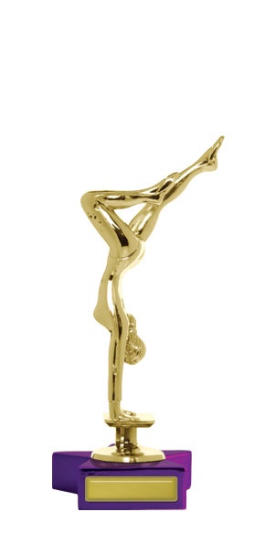 w143407_discounted-gymnastics-trophies.jpg