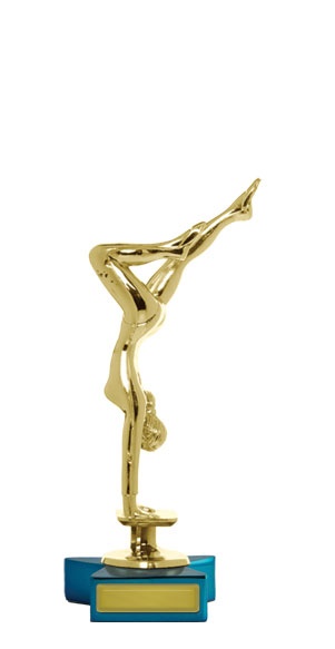 w143501_discounted-gymnastics-trophies.jpg