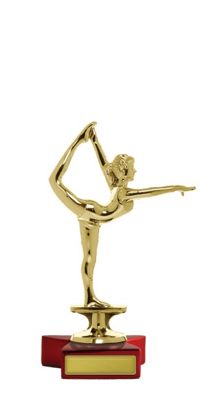 w143504_discounted-gymnastics-trophies.jpg