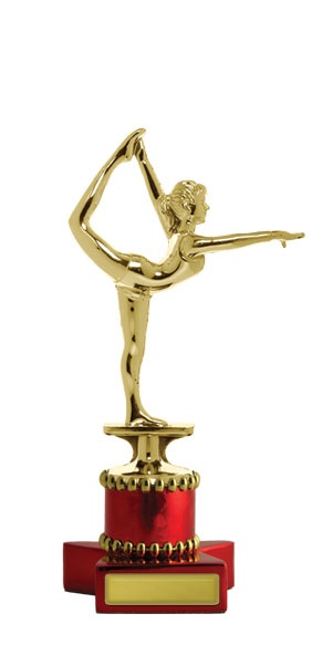 w143505_discounted-gymnastics-trophies.jpg