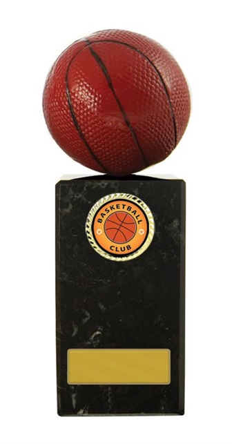 w15-2009_basketball-trophies.jpg
