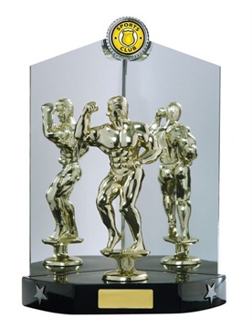 w15-2812_bodybuilding-trophiess.jpg