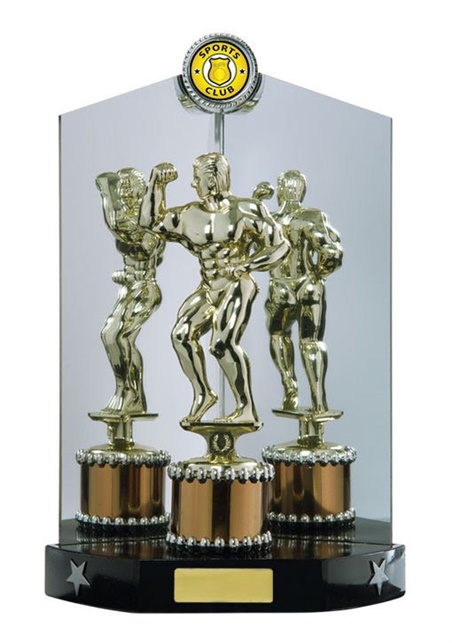 w15-2812_bodybuilding-trophiess.jpg