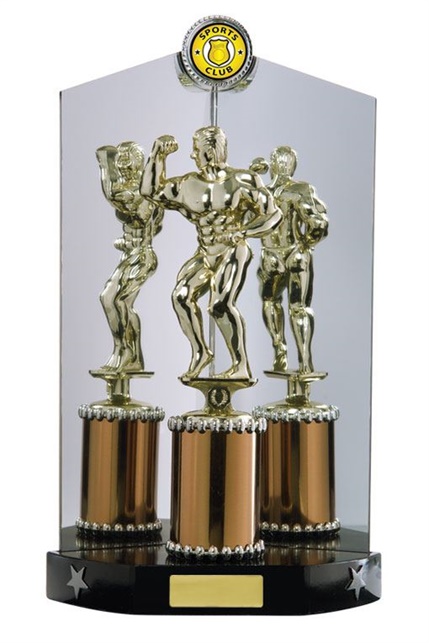 w15-2812_bodybuilding-trophiess.jpg