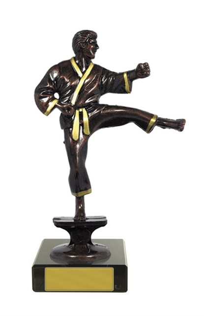 w15-5301_karate-trophies.jpg