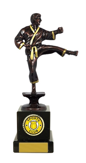 w15-5301_karate-trophies.jpg